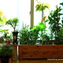 샬롬농원 이미지