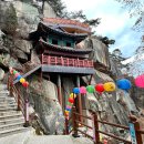 은해사 벚꽃길 | 경산 천년고찰 팔공산 불굴사 홍주암 석굴 1월 여행지