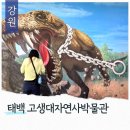태백로-1 | 강원도 아이랑 가볼만한 곳 태백 고생대자연사박물관 입장료 할인