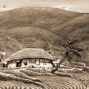 고향에봄 이미지