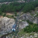 태하 카카오 검색결과