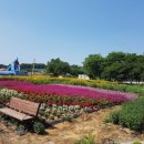 덕은3리 이미지