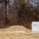 고양아씨