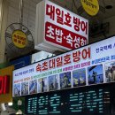 대일회식당 | 속초 중앙시장 횟집 대일호방어 가성비 좋은 모둠회포장 후기