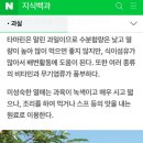 삼수니볼링장 네이버블로그