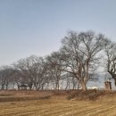 낙원방아간 이미지