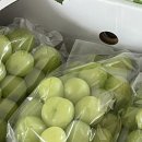 영찬농장 이미지