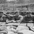 충남서부보훈지청 이미지