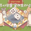 뉴힐링타임 이미지