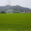 숙이네농장 이미지