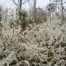 다사우체국 이미지