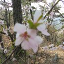 대동면사무소 이미지