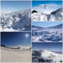 2015年 1月 6日~~1月 7日 제주도 한라산 눈꽃산행 이미지