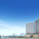 비모스트 이미지