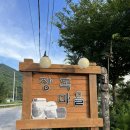 지내천 | 춘천 맛집ㅣ닭갈비말고 다른게 먹고싶다면 보리밥정식집 “장독마을”