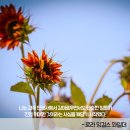 잉걸스 이미지
