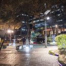 구청 광장 대로변 이미지