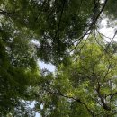 주록계곡민박 이미지