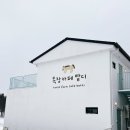 성산유치원 | 제주 성산승마 체험 목장카페 밭디 아기랑 눈오는날 후기