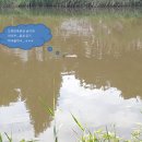 김가네부동산중개 이미지