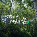 우리들의숲
