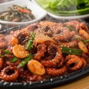 쭈꾸미랑바다친구들 이미지