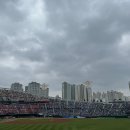 영만두 이미지