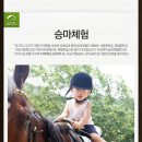 승마랜드 이미지