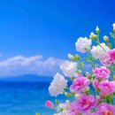 바울전기 | 어거스틴의 전기와 후기