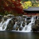 해운동051 이미지