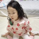 그래채