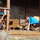 예예하우스 이미지