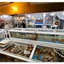 대왕암공원3(주차장) 이미지