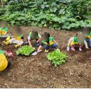 마곡두린아이어린이집 이미지