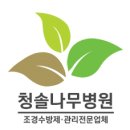 (주)한그루약품 | [1종나무병원/수간주사/수간주사제/수목진료진단] 한국남부발전 하동발전본부 - 소나무재선충 예방 수간...