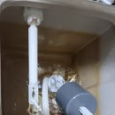 경기도 수원시 팔달구 세지로174번길 이미지