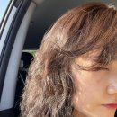더봄 헤어 이미지