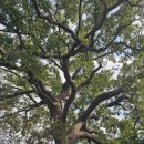 삼산 소공원 이미지