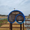 1004섬수석미술관 이미지