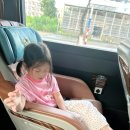 혼자여도괜찮지만 | 엄마 혼자 애 둘 데리고 베트남 여행 다녀온 후기(베트남 우기,9월 날씨, 여행경비 등)