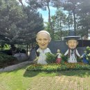 솔뫼성지 소나무 이미지