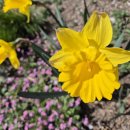 북서울한의원 이미지