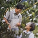 풀잎유통 이미지