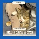 제인동물병원 | 대구 동물병원 CT 엑스레이 검사 비용 고양이 구내염 알파동물메디컬센터 내돈내산