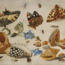 쿤스트캄머 이미지