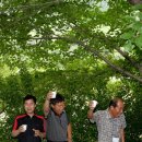 단성초등학교 이미지