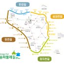 유수지공원 유아숲체험원 이미지