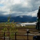 다로산 스파펜션 이미지