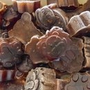 리니스 하우스 이미지