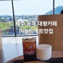 제주점워시존 | 제주 조천 대형카페 오드랑베이커리 신촌점, 주변가볼곳6, 맛집 리스트6